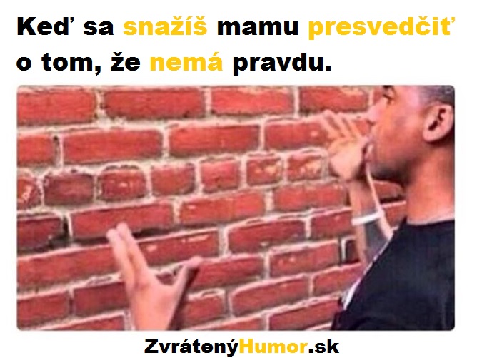 hádka