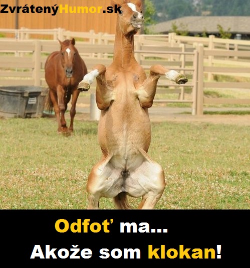 akoze klokan