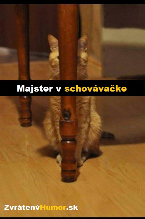 tomu sa vraví majster