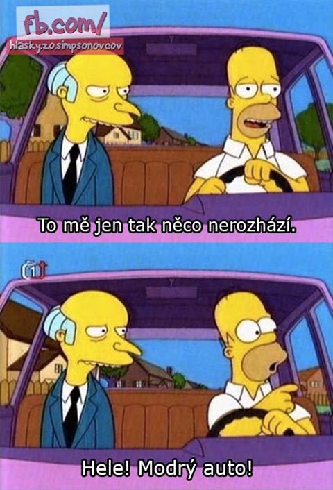 homer vie