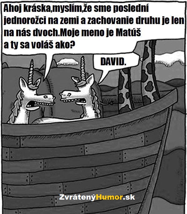 jadnorozci