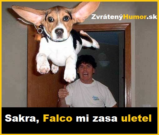 falco
