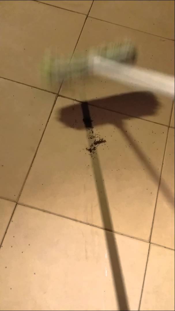 Najhoršia nočná mora pre arachnofóbov