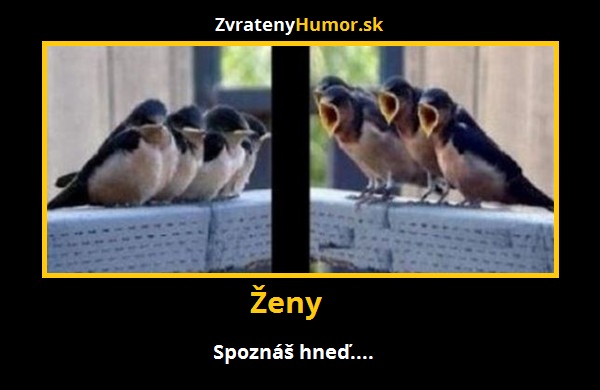 Spoznáš hneď