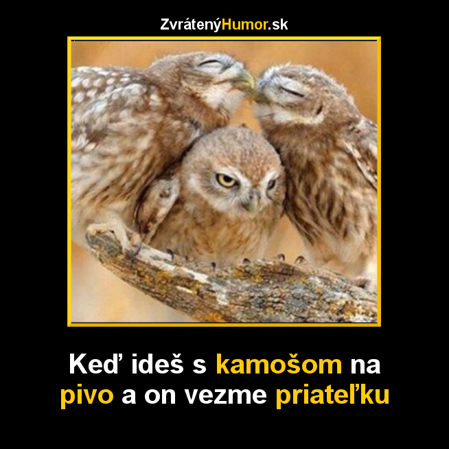 na pive