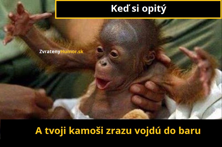 Keď vojdú do baru kamoši