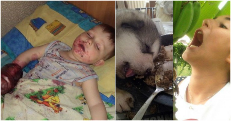 20 Obrázkov: Keď si hladný, nie si to ty!