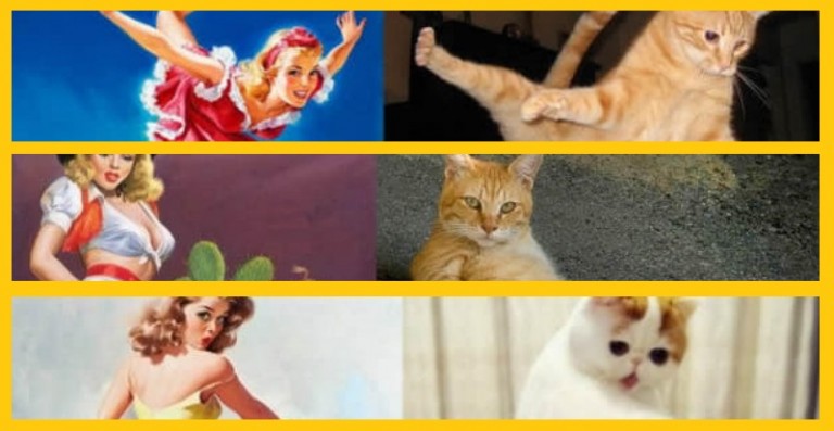 Kto bol prv mačka či žena alebo kto opakuje po kom?