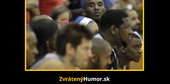 Samičky na každom kroku