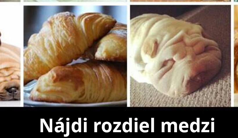 Už vieme čo používajú ako predlohu