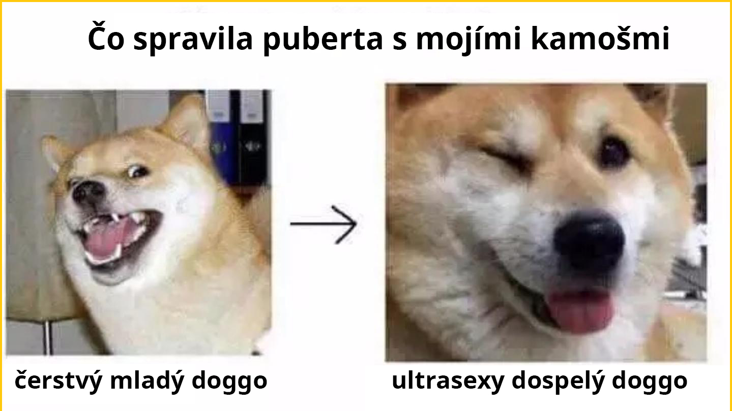 Evolúciu nezastavíš