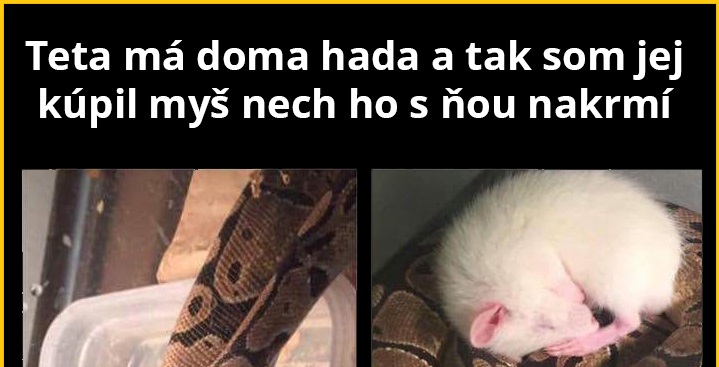 Stačí trochu lásky