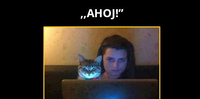 Príjemné privítanie