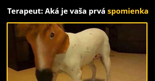 Na toto určite nezabudne