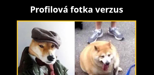 Stále to tak je