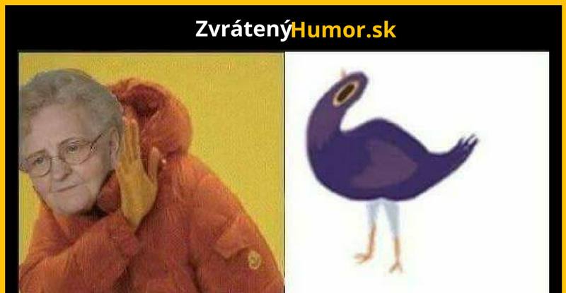 Holúbok facebooku alebo od babky?