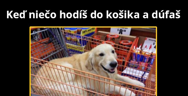 Pri pokladni to už nezatrhne