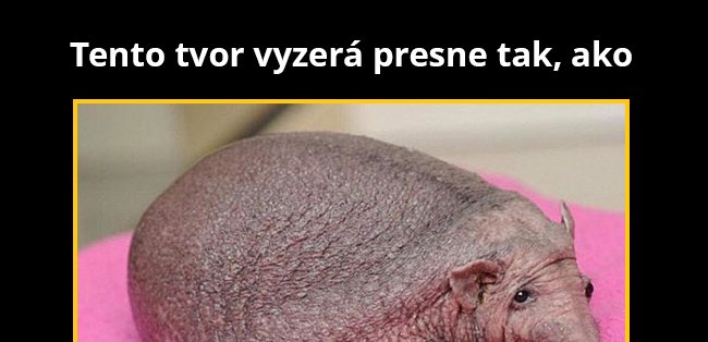 Ani Boh netuší čo je to zač