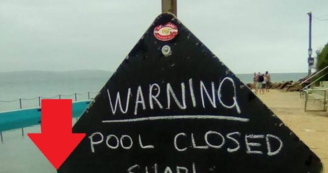 Bazén uzavřený z důvodu návštěvy nevhodného hosta, žraloka