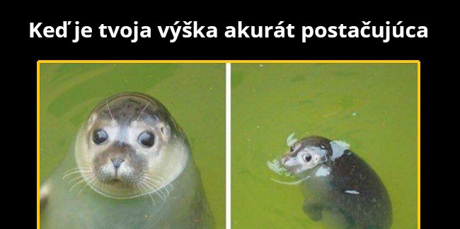 Problémy krátkych osôb