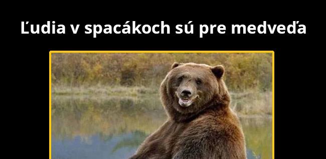 Pochúťky z medvedieho sveta