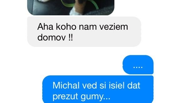 Aha koho som doniesol