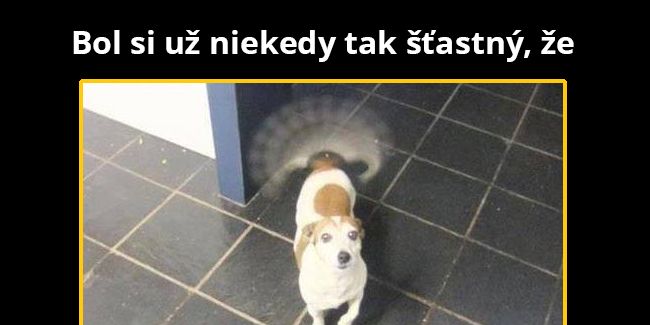 Čo je ale šťastie?