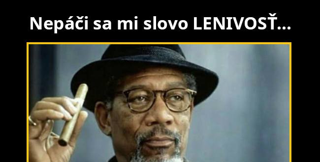 Nie som lenivý, len…