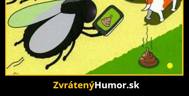Už aj muchy…