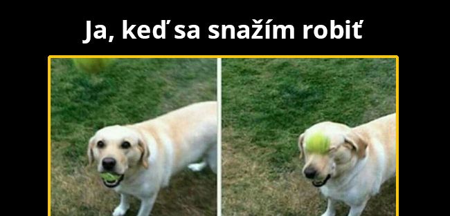 Chlapi to vraj nedokážu