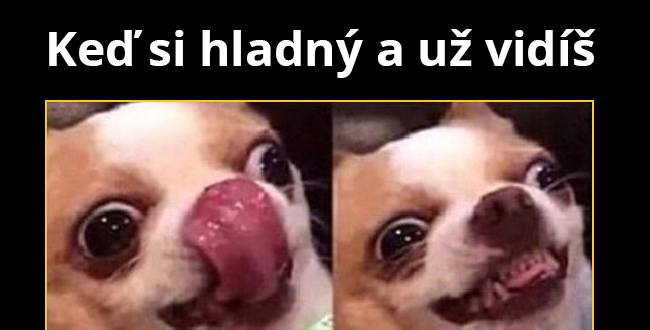 Už sa to nesie