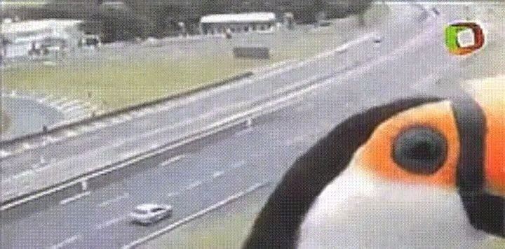 Aha mami som v telke!