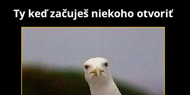 Heeej kamoš