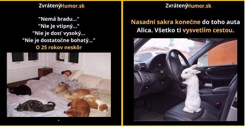 Zopár memečiek, ktoré vznikli aby ti spríjemnili dnešný deň #31