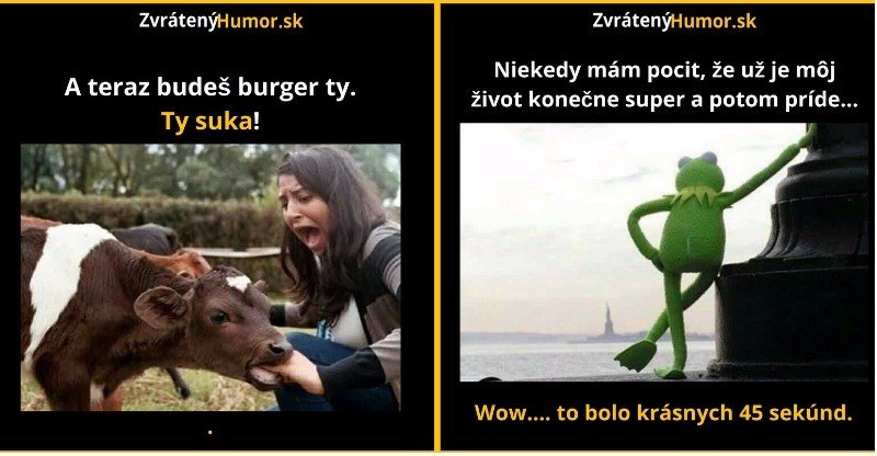 Zopár memečiek, ktoré vznikli aby ti spríjemnili dnešný deň #34