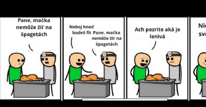 Keď si nechceš priznať že si si zabil mačku