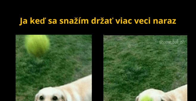 Čo mam so svojim psom spoločné..