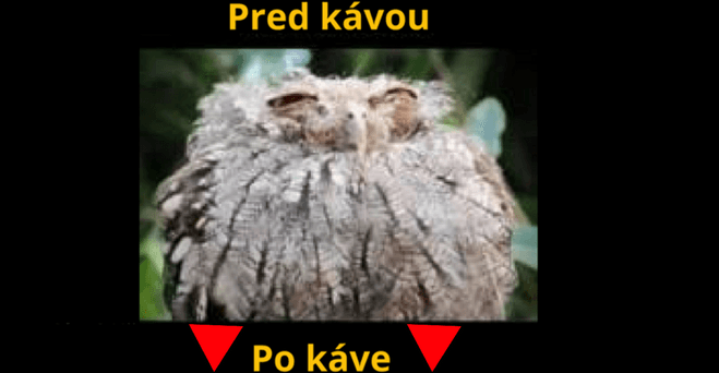 Života budič káva