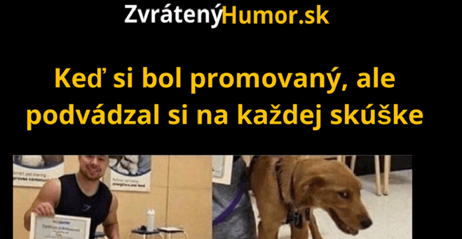 Niet lepší pocit ako oklamať systém
