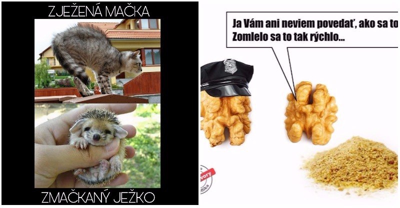 Niekoľko vtipných slovných hračiek, ktoré ťa dnes pobavia