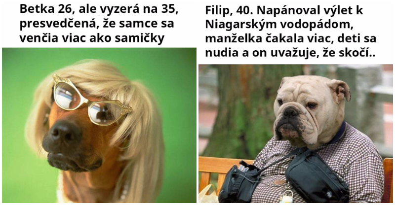 10 Obrázkov: Psie charaktery, ktoré ti určite pripomenú niekoho, koho poznáš