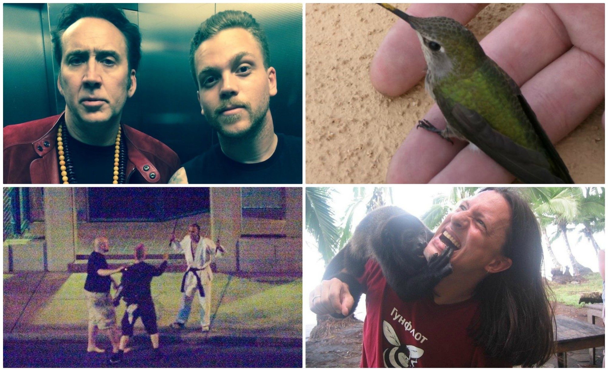 20+ Obrázkov: Takéto zábery sa človeku nepodarí zachytiť každý deň