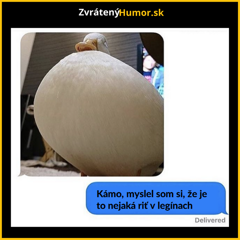 Fakt som si to myslel…