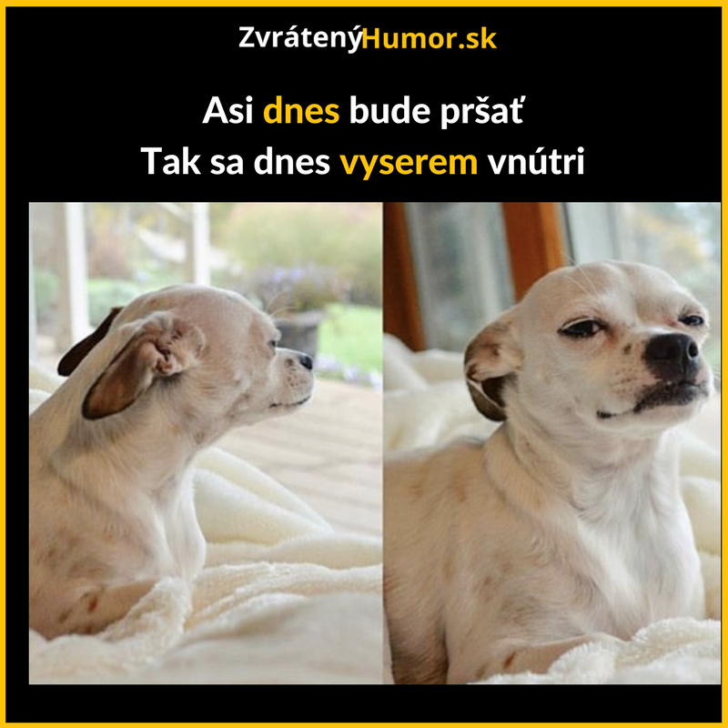Dnes to vyložím dnu