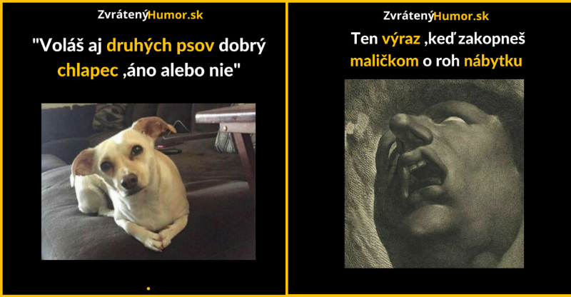 Zopár memečiek, ktoré vznikli aby ti spríjemnili dnešný deň #128