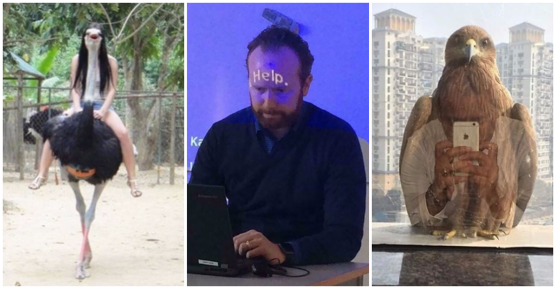 20+ fotografií, ktorých načasovanie je úplne dokonalé