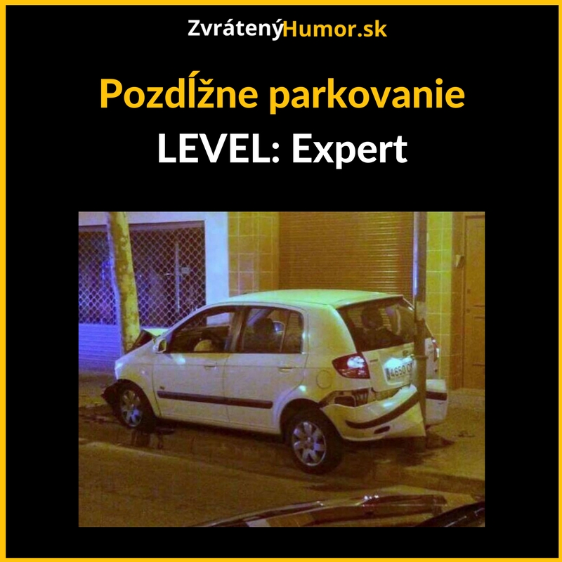Expert v parkovaní