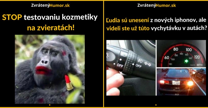 Zopár memečiek, ktoré vznikli aby ti spríjemnili dnešný deň #165