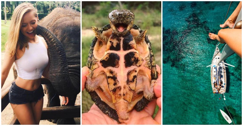 30+ Obrázkov, ktorými dokonale zabiješ čas #54