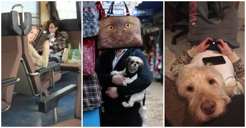 15+ Obrázkov: Veľmi zaujímavo načasované fotografie